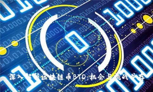 深入解析区块链币BTD:机会与挑战并存