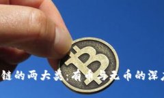  区块链的两大类：有币与无币的深度解析