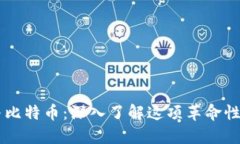 区块链网络与比特币：深入了解这项革命性技术