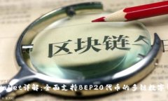 TPWallet详解：全面支持BEP20代币的多链数字钱包