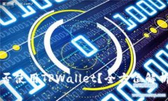 中国地区能否使用TPWallet？全方位解析与使用指南