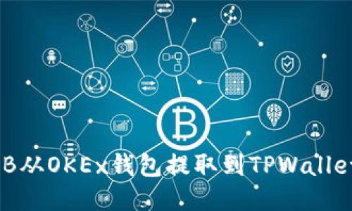 如何将SHIB从OKEx钱包提取到TPWallet:详细指南