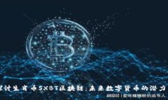 深入探讨生肖币SXBT区块链：未来数字货币的潜力