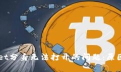 解决TPWallet分身无法打开的问题：原因与解决方案
