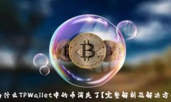   为什么TPWallet中的币消失了？完整解析及解决方