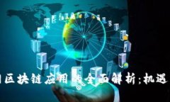 火币网区块链应用的全面解析：机遇与挑战