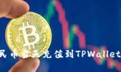 如何将人民币当天充值到TPWallet：完整指南
