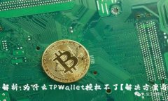 深入解析：为什么TPWallet授权不了？解决方案与建