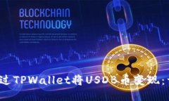  如何通过TPWallet将USDB币变现：详细指南