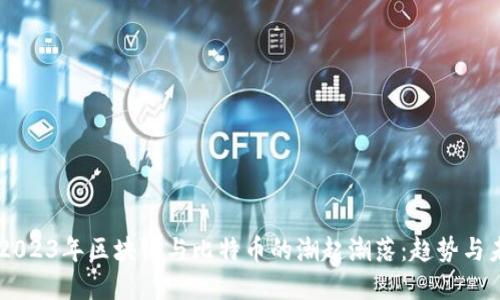 2022-2023年区块链与比特币的潮起潮落:趋势与未来展望
