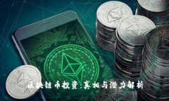区块链币投资：真相与潜力解析