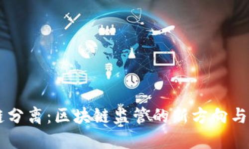 币链分离:区块链监管的新方向与挑战