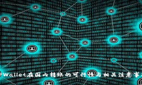 TPWallet在国内转账的可行性与相关注意事项