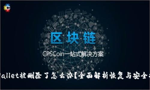 TPWallet被删除了怎么办？全面解析恢复与安全措施