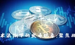 区块链技术浪潮下的发币现象：聚焦北京与上海