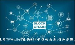 如何使用TPWallet查询BSC卡住的交易：详细步骤与技