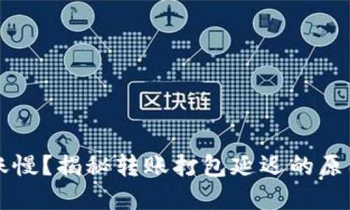 TPWallet转账慢?揭秘转账打包延迟的原因及解决方案