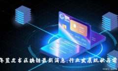 2023年蓝皮书区块链最新消息：行业发展现状与前