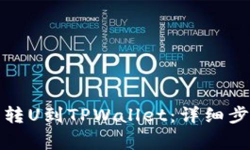 如何从中币网转U到TPWallet:详细步骤与注意事项