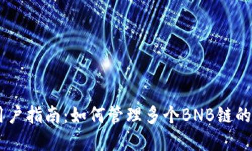TPWallet用户指南：如何管理多个BNB链的资产与交易