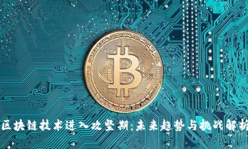 区块链技术进入攻坚期：未来趋势与挑战解析